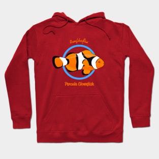 Percula Clownfish Hoodie